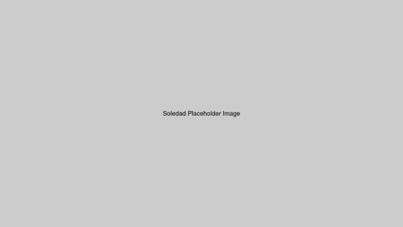 p40